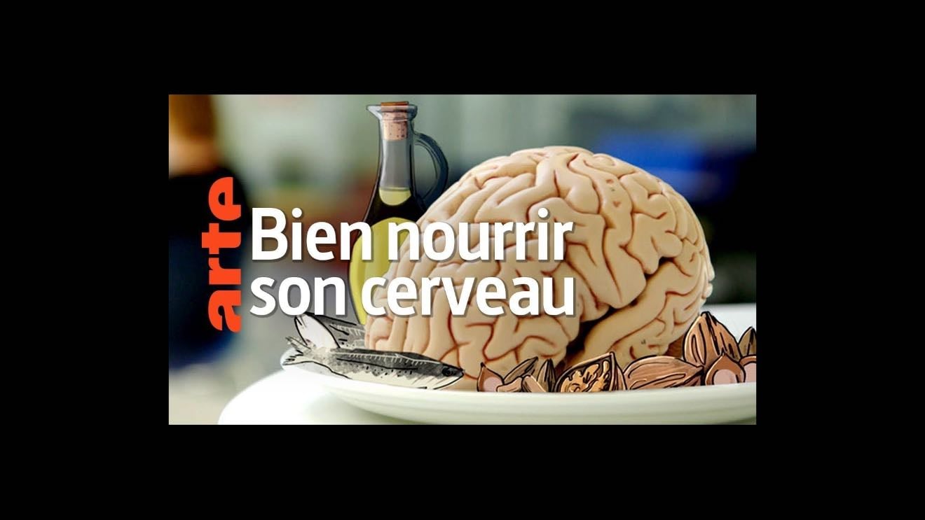 Bien alimenter son cerveau - ARTE