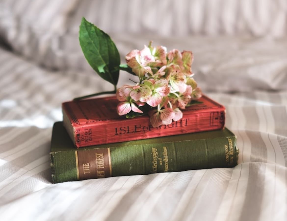 Books ❤️