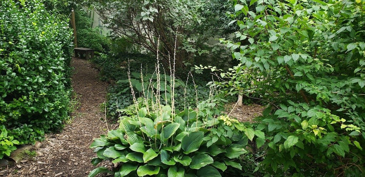Lincoln-Berkeley Community Garden