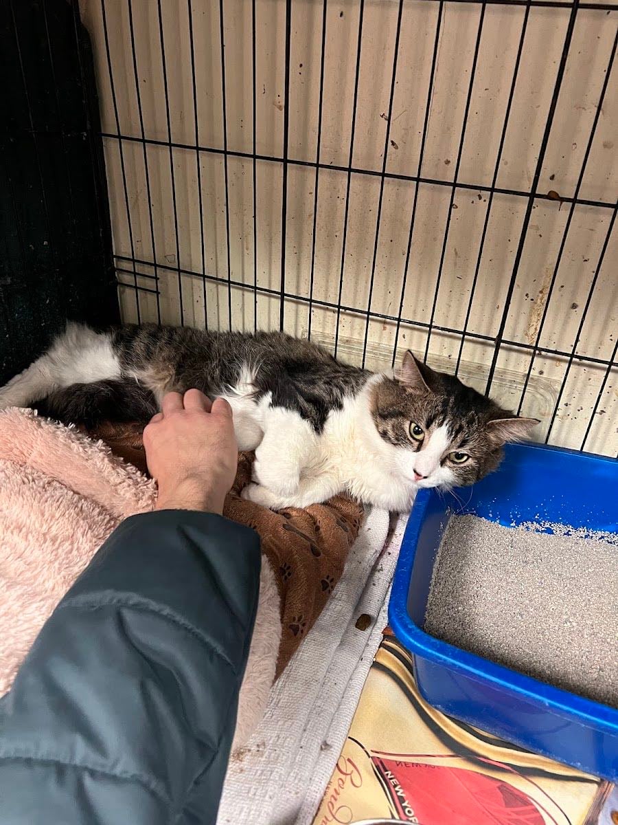 Sean Casey Animal Rescue