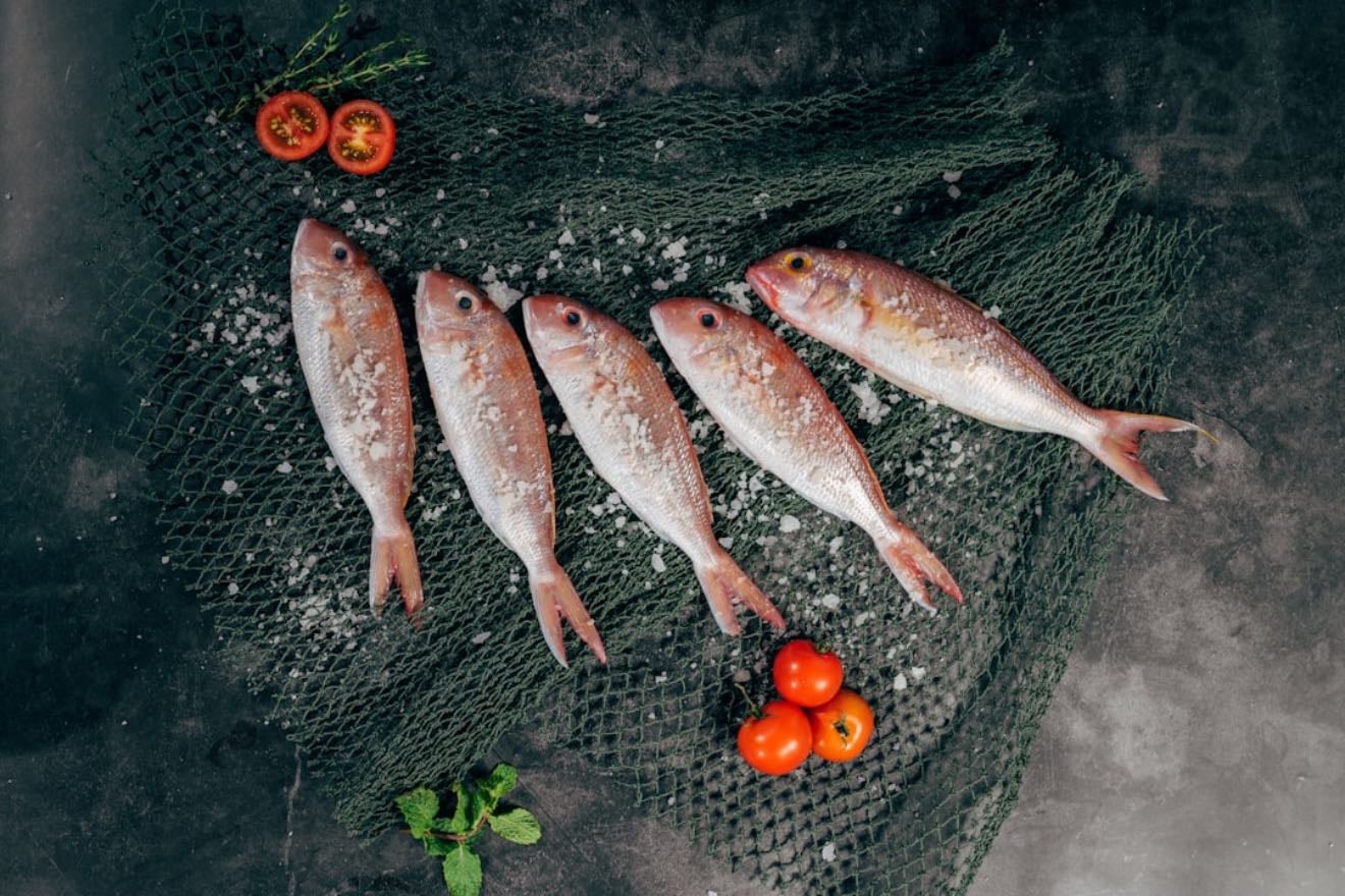 pescado
