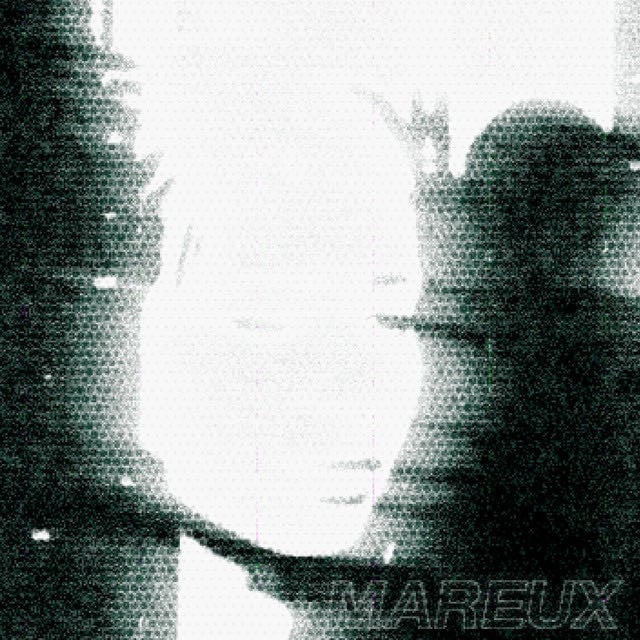 The Perfect Girl - Song · Mareux
