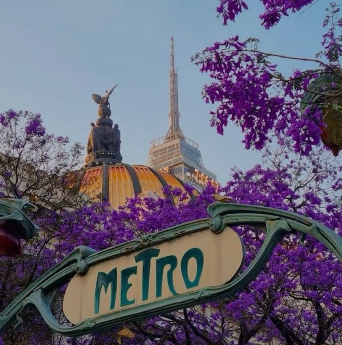 CDMX