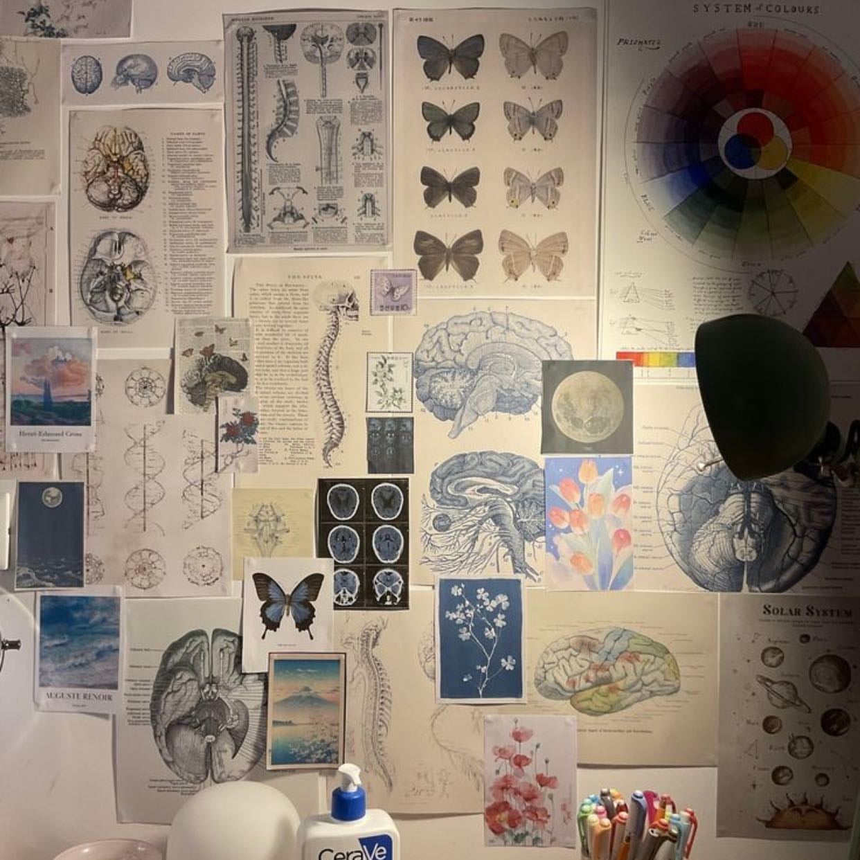Métodos de estudio📖📑👩🎓 - No es solo memorizar, entender y manejar el tema para ser muy buena en lo que hago. 👩🎓👩🏽🎨👩🏽🔬🪴👁🧬