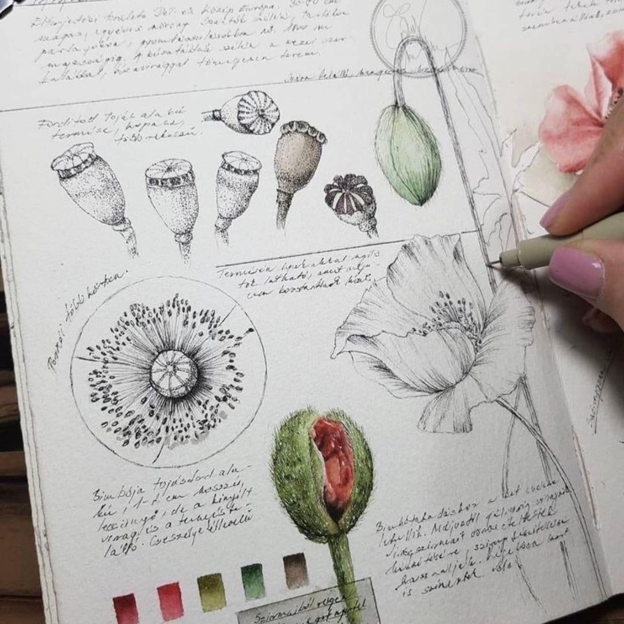 Académico 📑🧫🧬🧪🔬👩🏽🔬 - Divulgadora científica🧫🧪🫀🎨