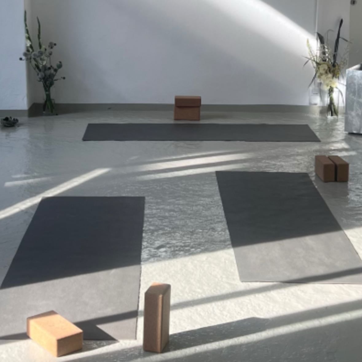 Svera Studio - Mobility + Yoga