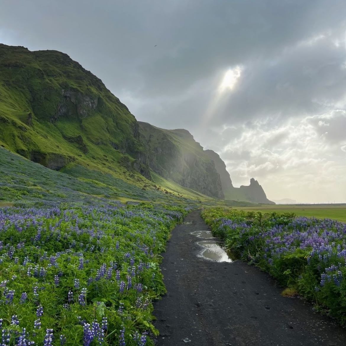 Islandia - (País)