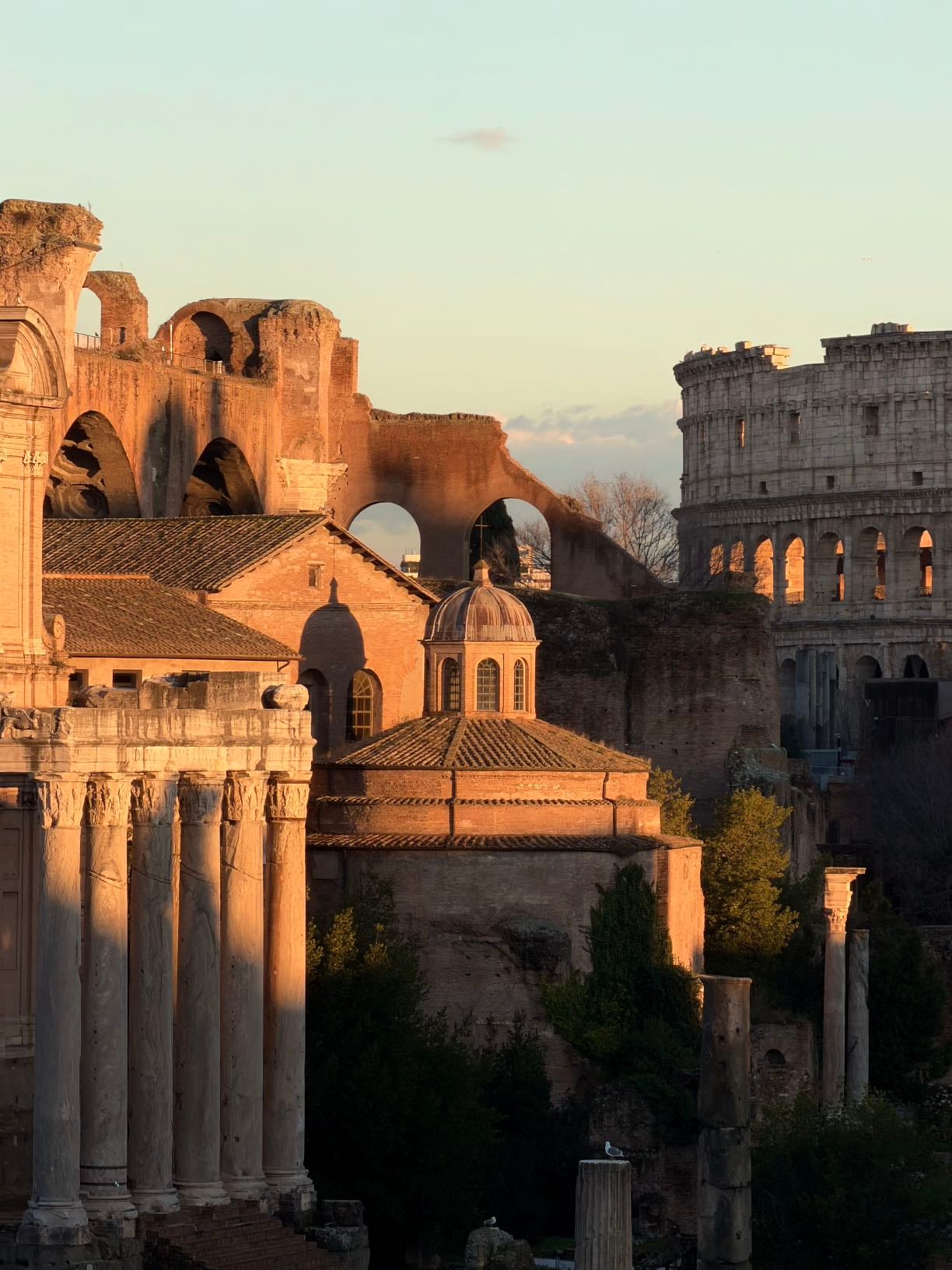 Foro Romano - *View from Campidoglio