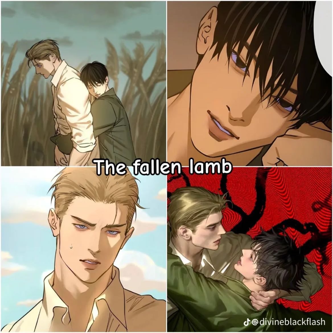 The fallen lamb