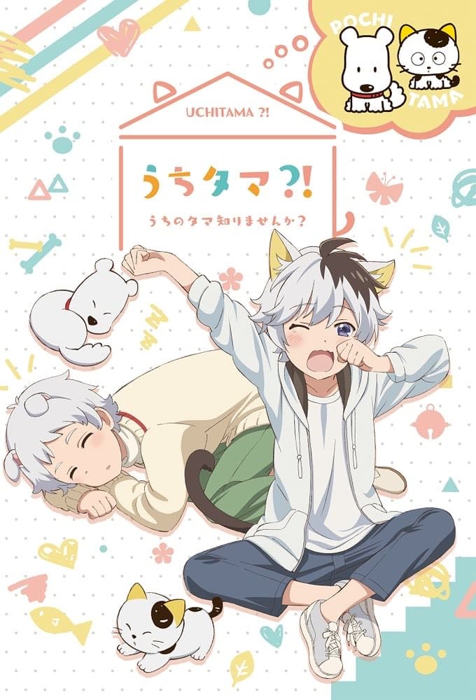 Uchi Tama?! Uchi no Tama Shirimasen ka? - 2020