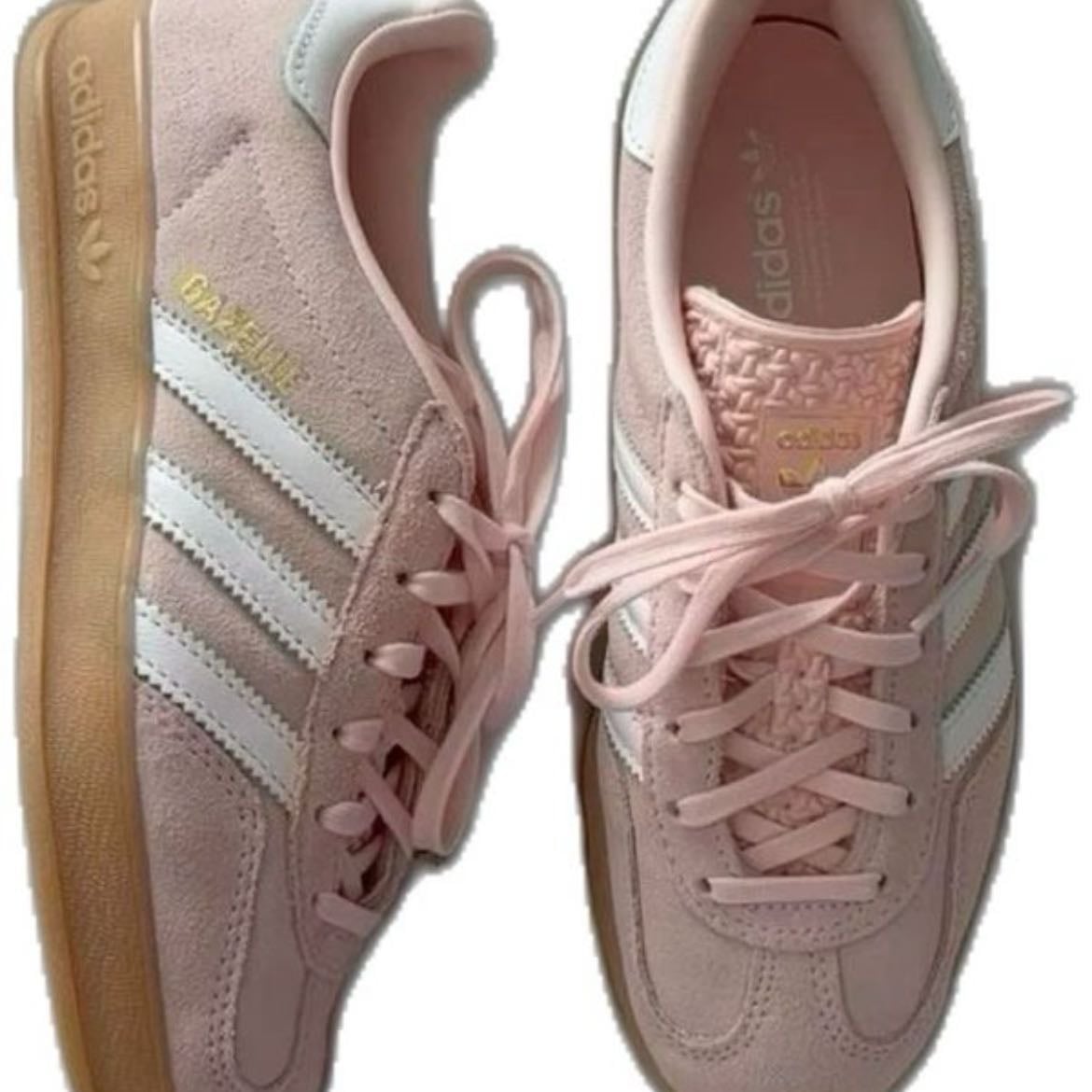gazelle