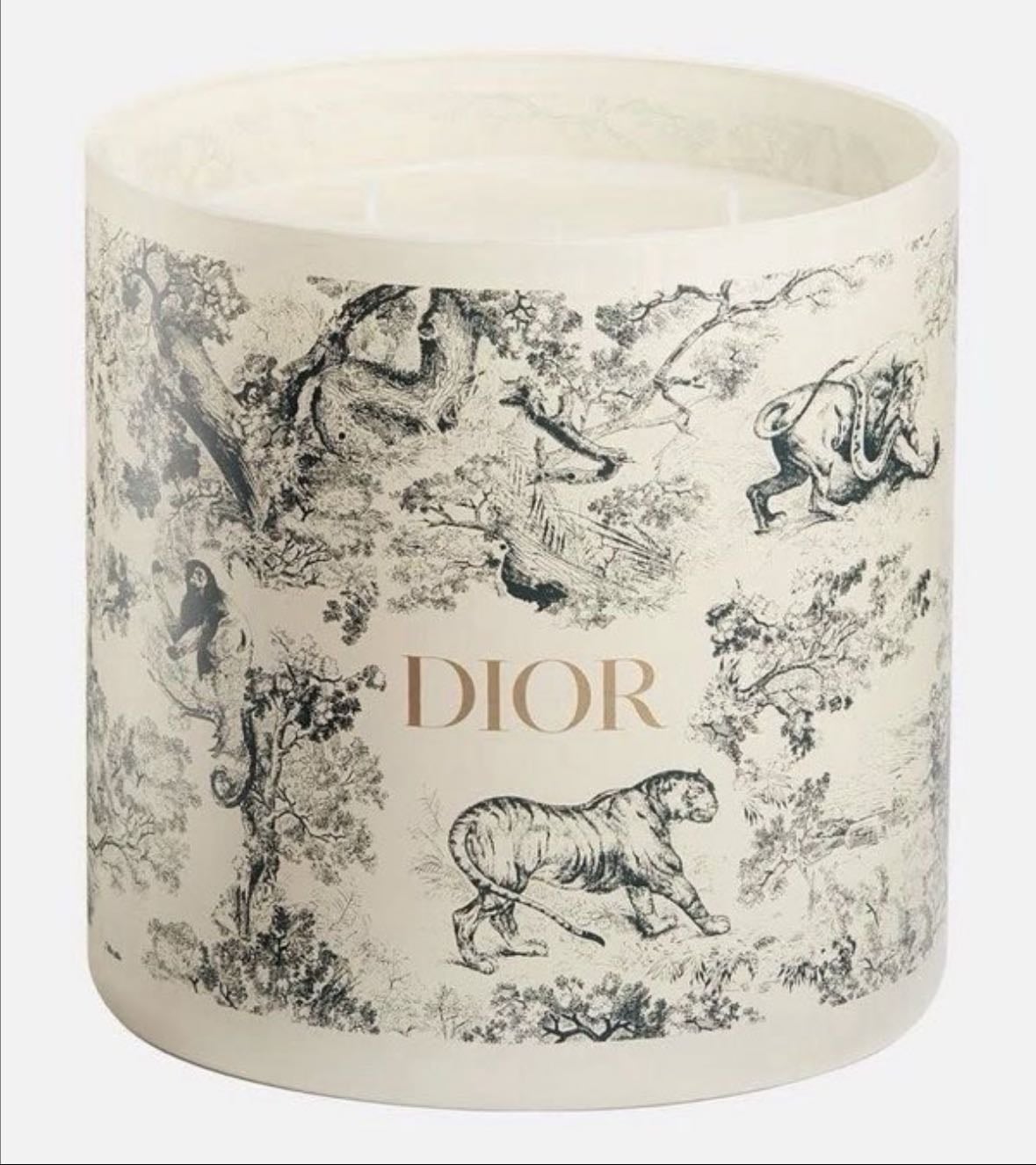 Dior candle