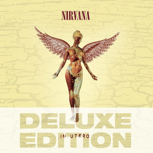 Heart-Shaped Box - Song · Nirvana