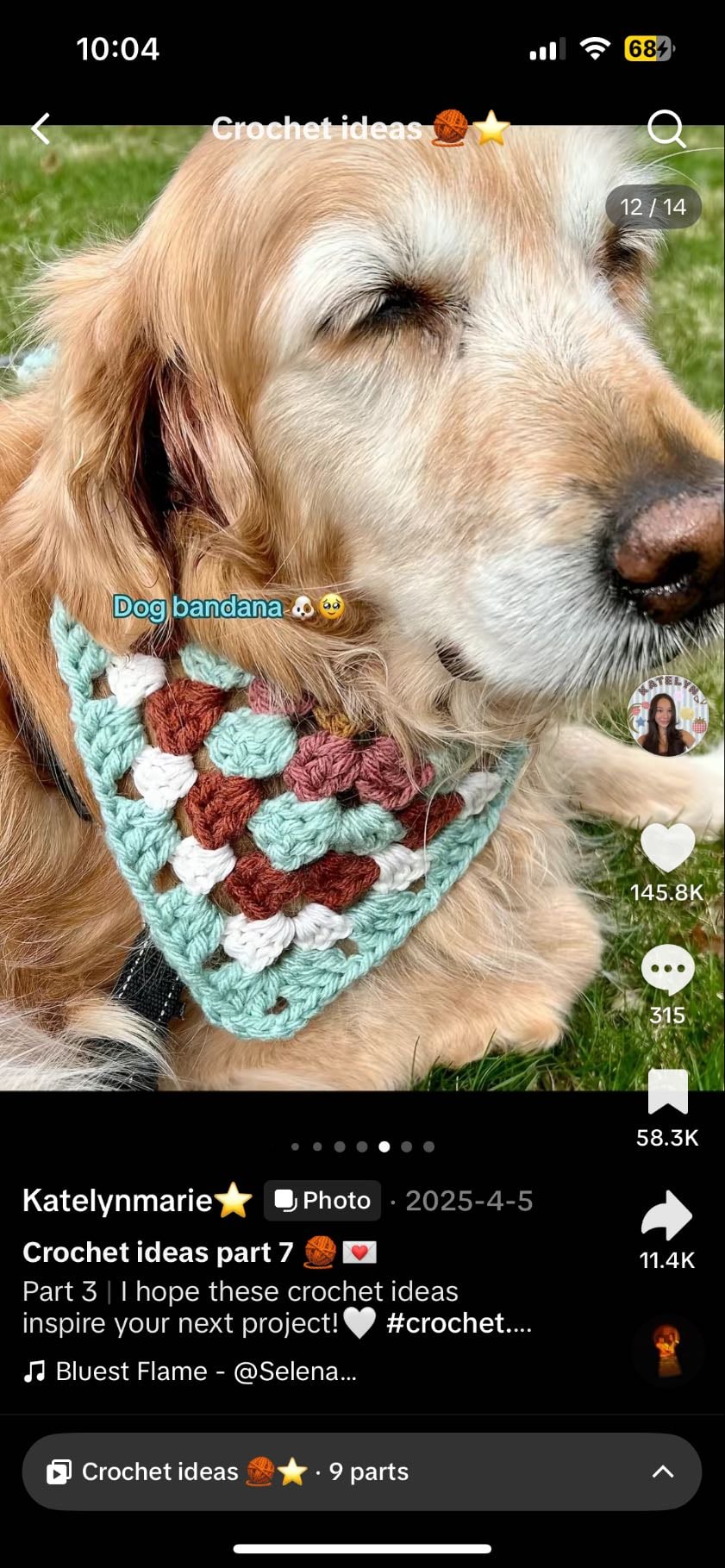 dog bandana