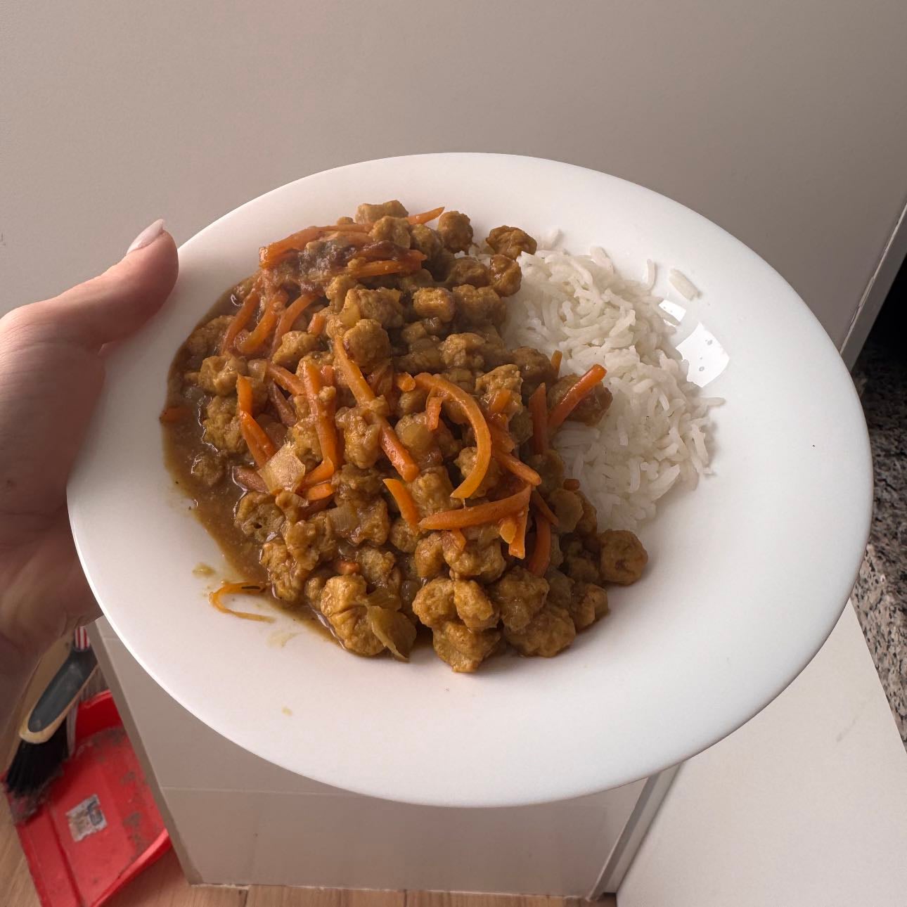 Curry Soy - 429 kcal 30g Proteína