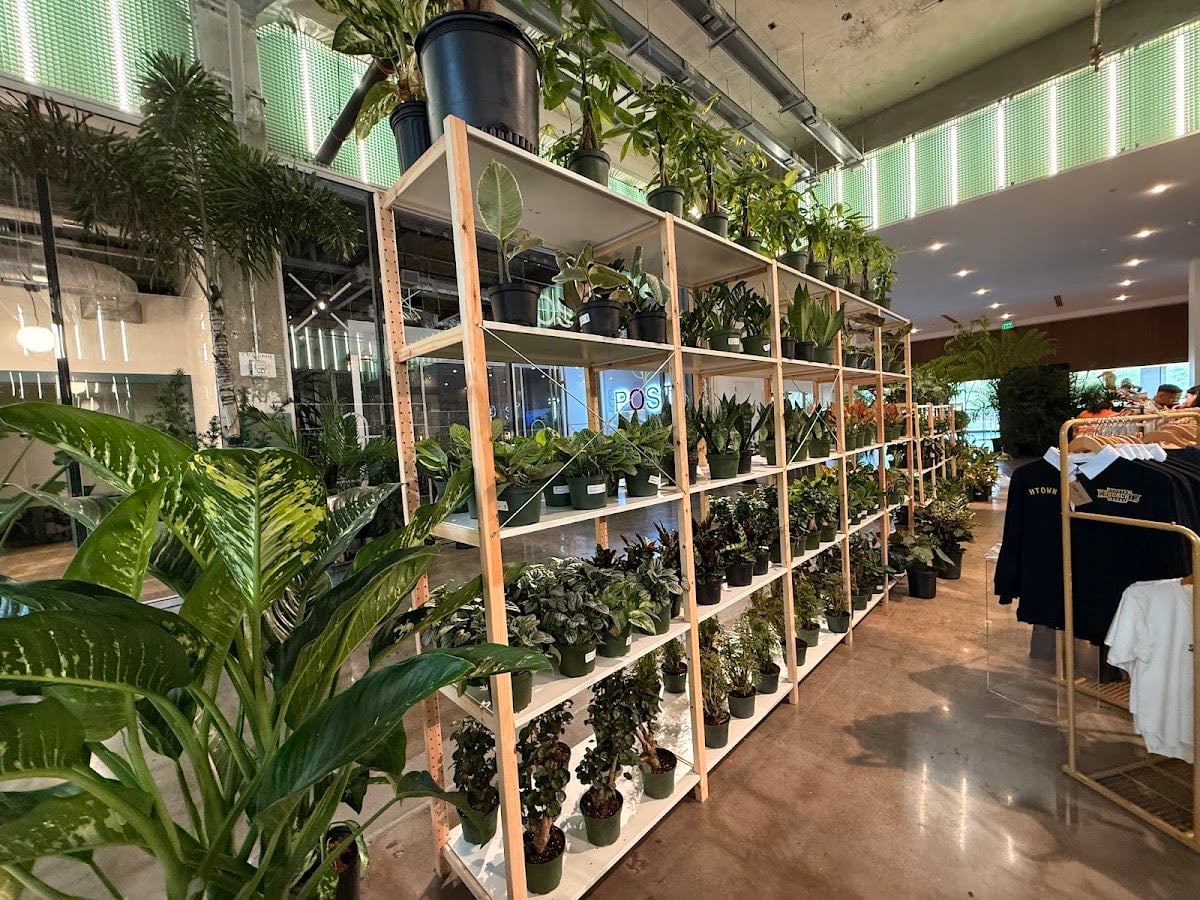 Eden Plant Co.