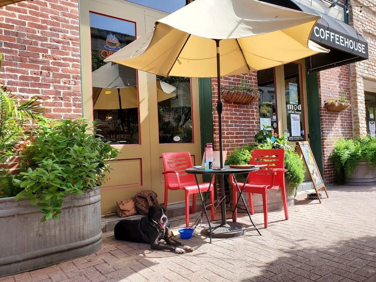 MOD Coffeehouse