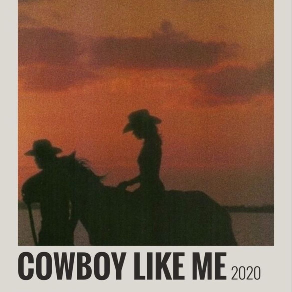 Cowboy Like Me