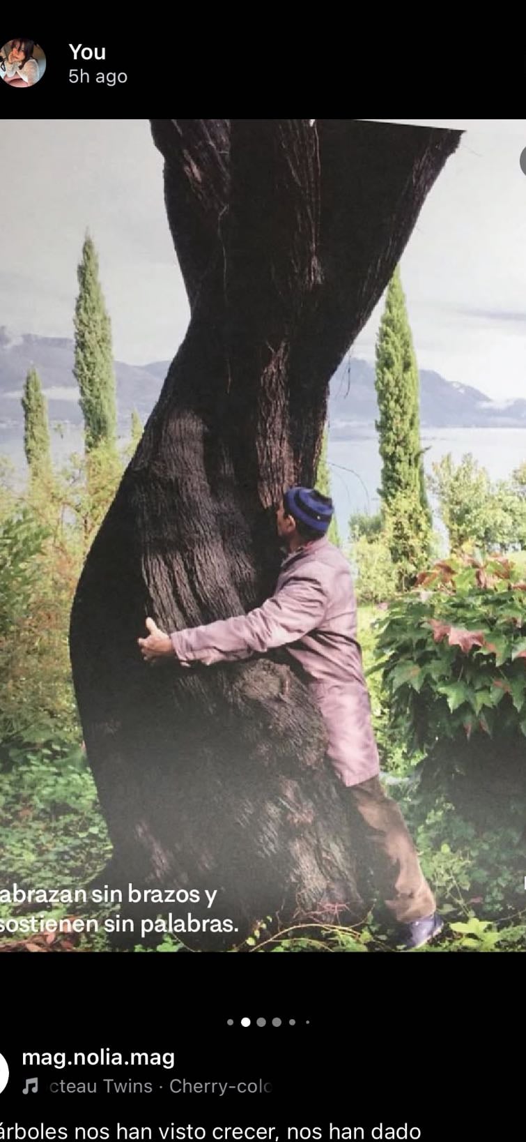 ¿De cuántas cosas depende un árbol? & art with mary 🌳🎨