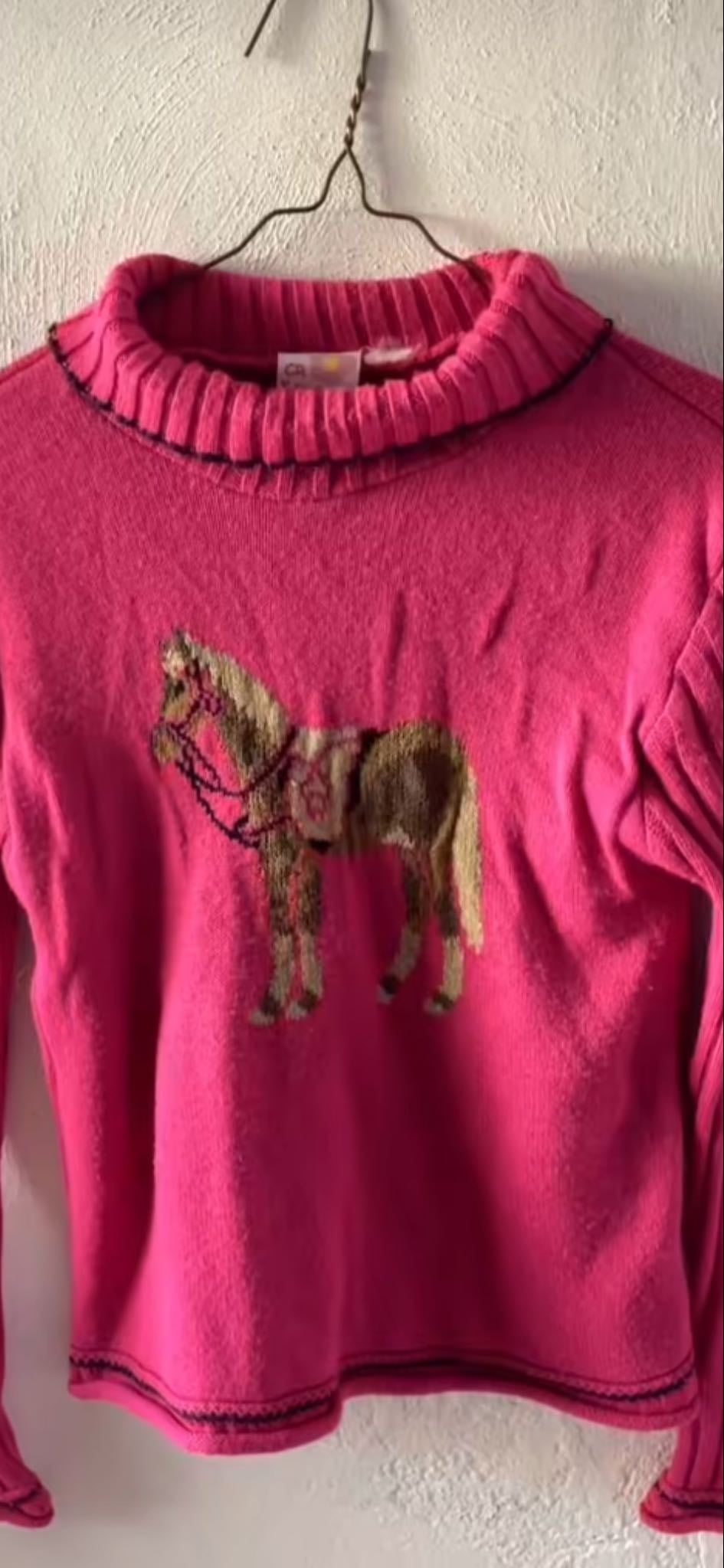 a horse sweather (year of the horse)