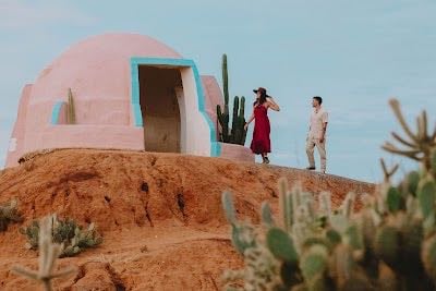 Cactus Country