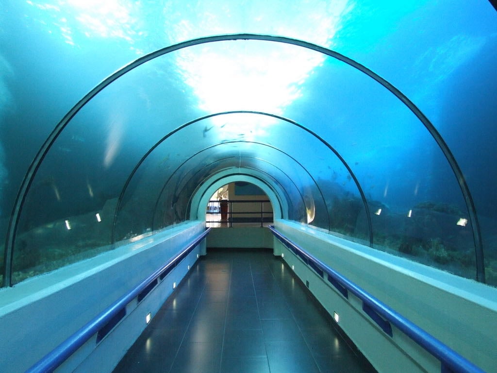 Dominican Republic National Aquarium