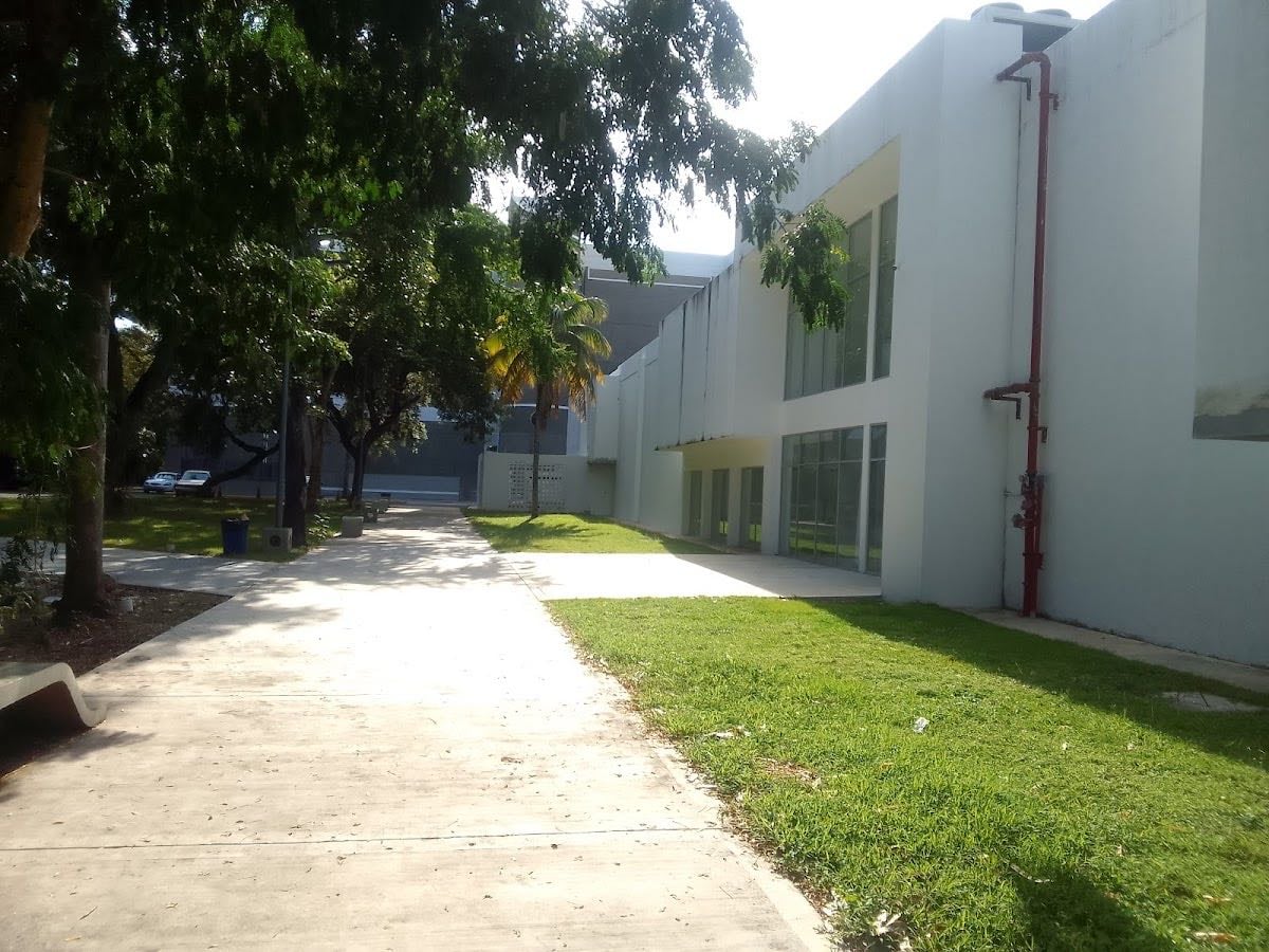Cinemateca Dominicana - puedes ver películas dominicanas gratis solo o acompañado.