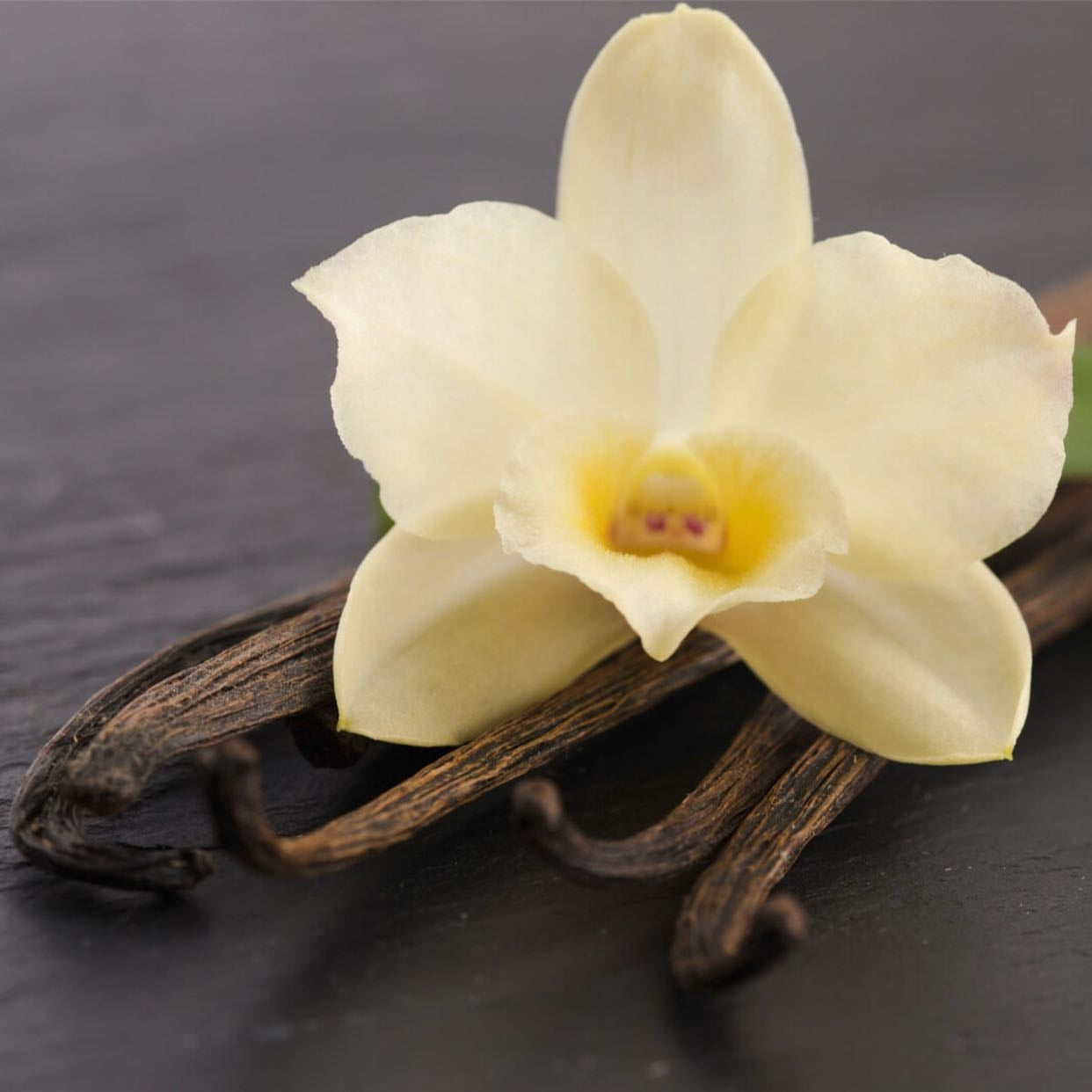 Vanilla