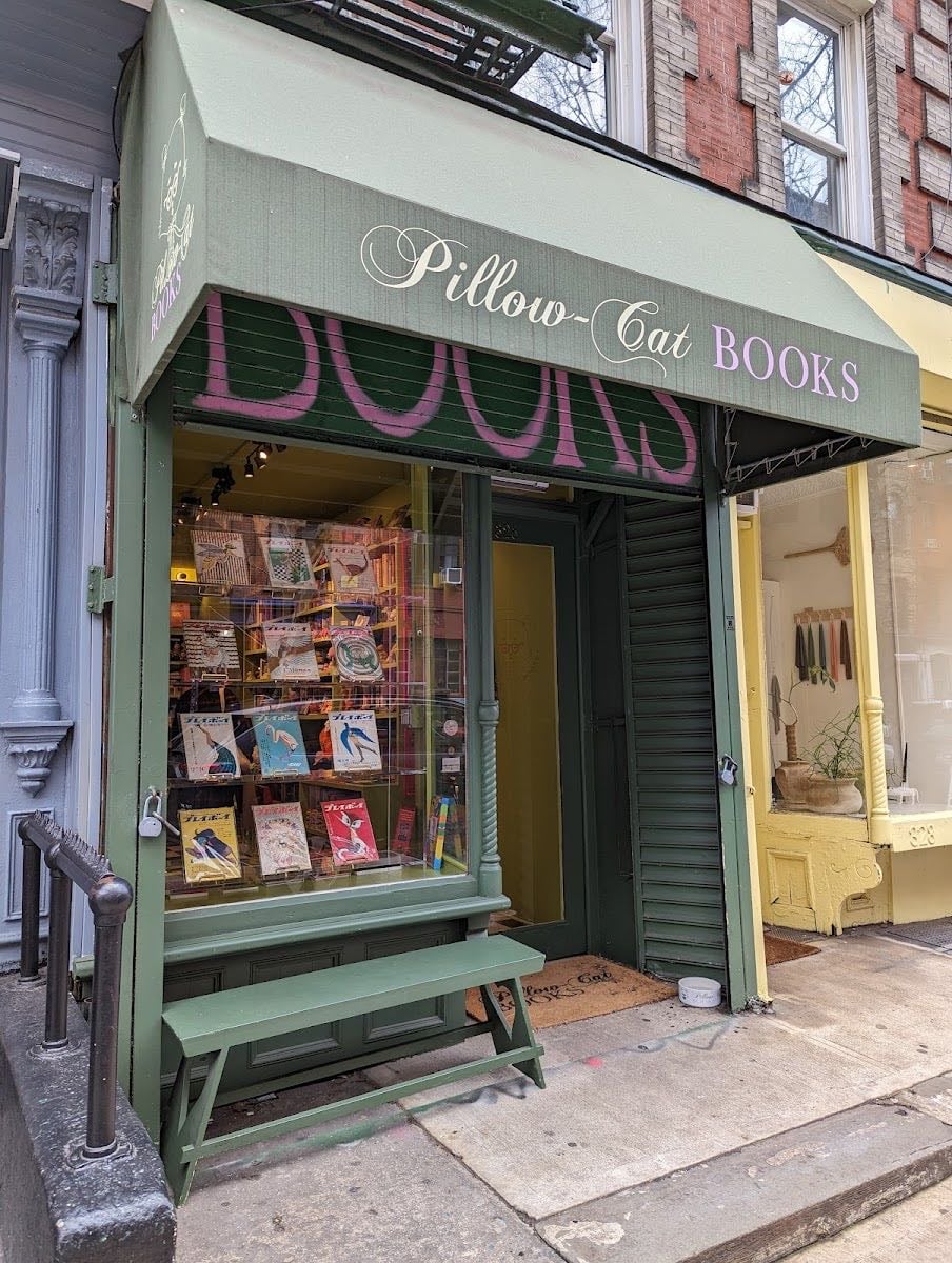 pillow cat books