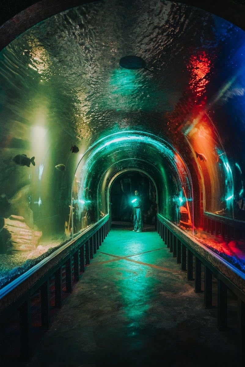 Parque de la Imaginación