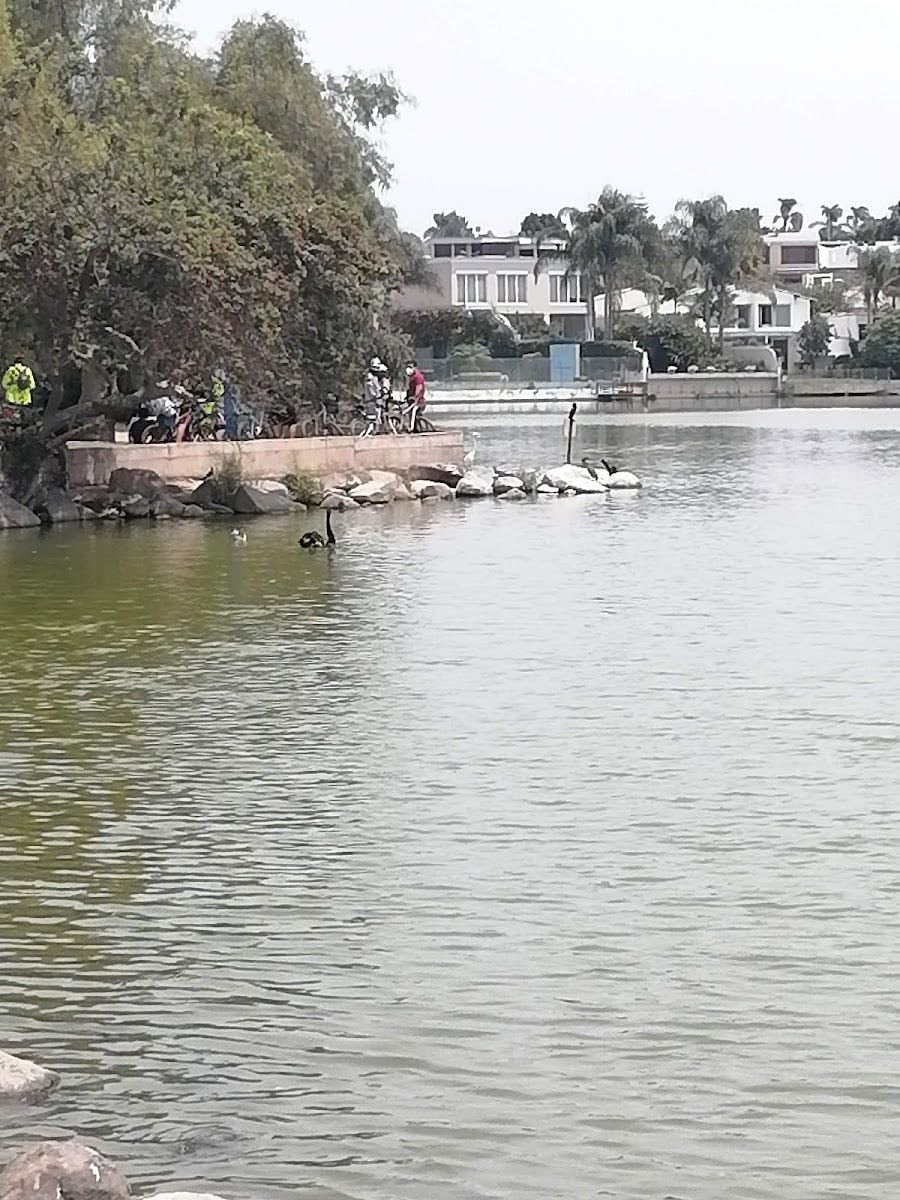 Las Lagunas