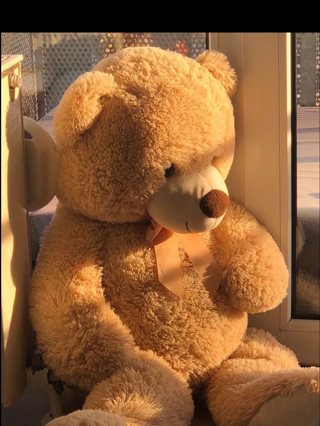 Giant teddy bear - https://a.co/d/6XxhIuf