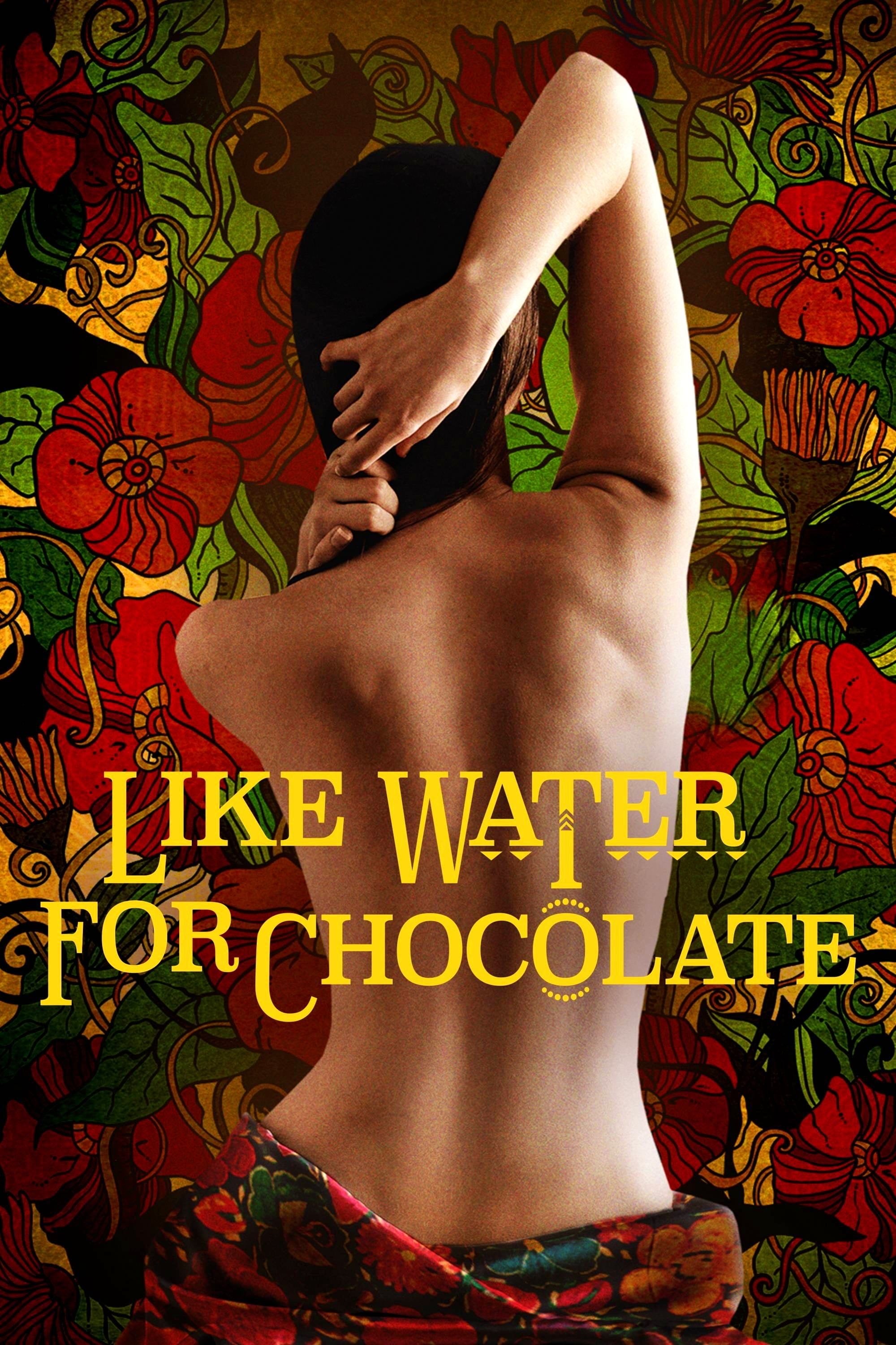 Como agua para chocolate - Alfonso Arau 路 1992