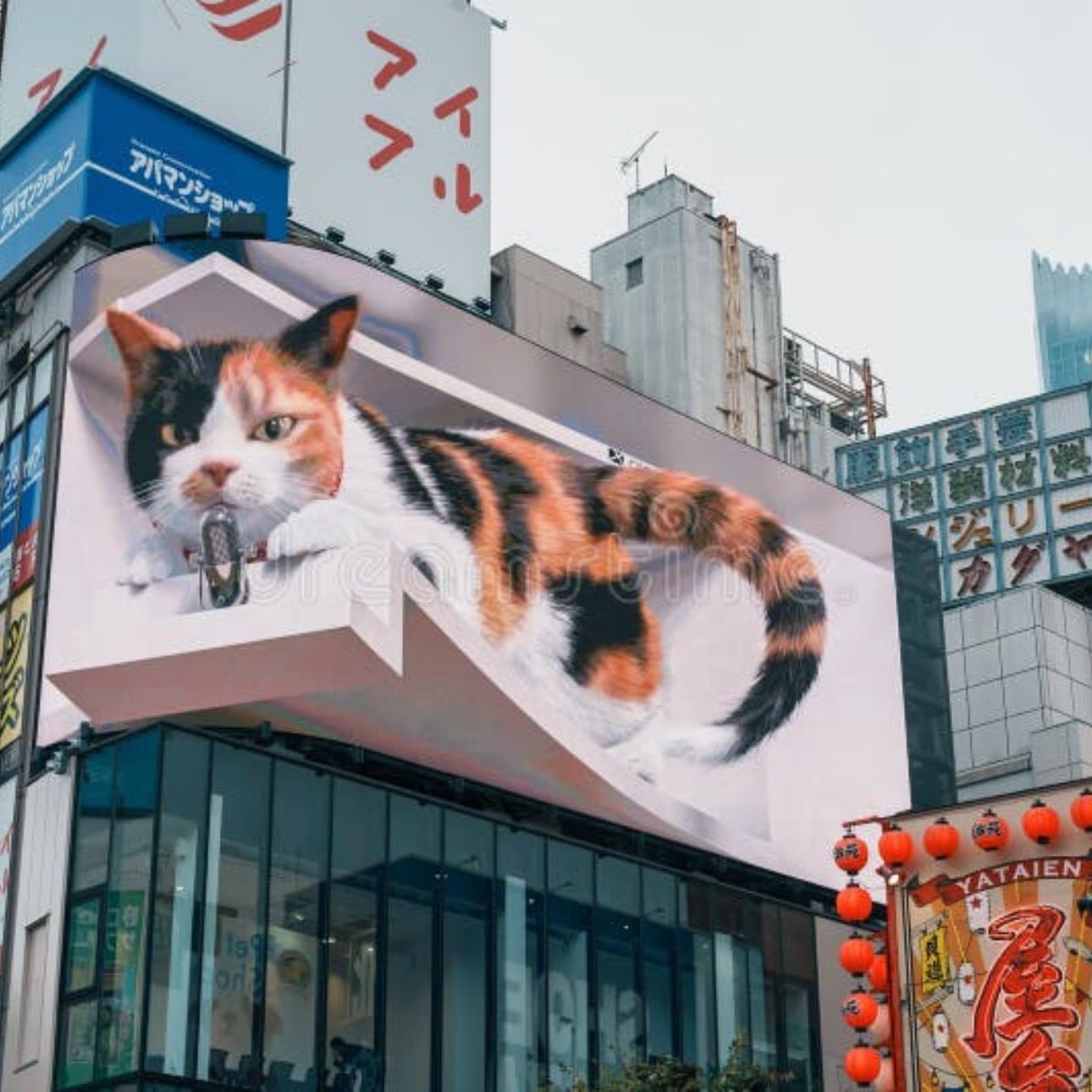 3D cat Cross Shinjuku Space
