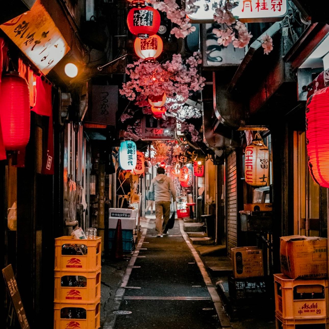 Omoide Yokocho