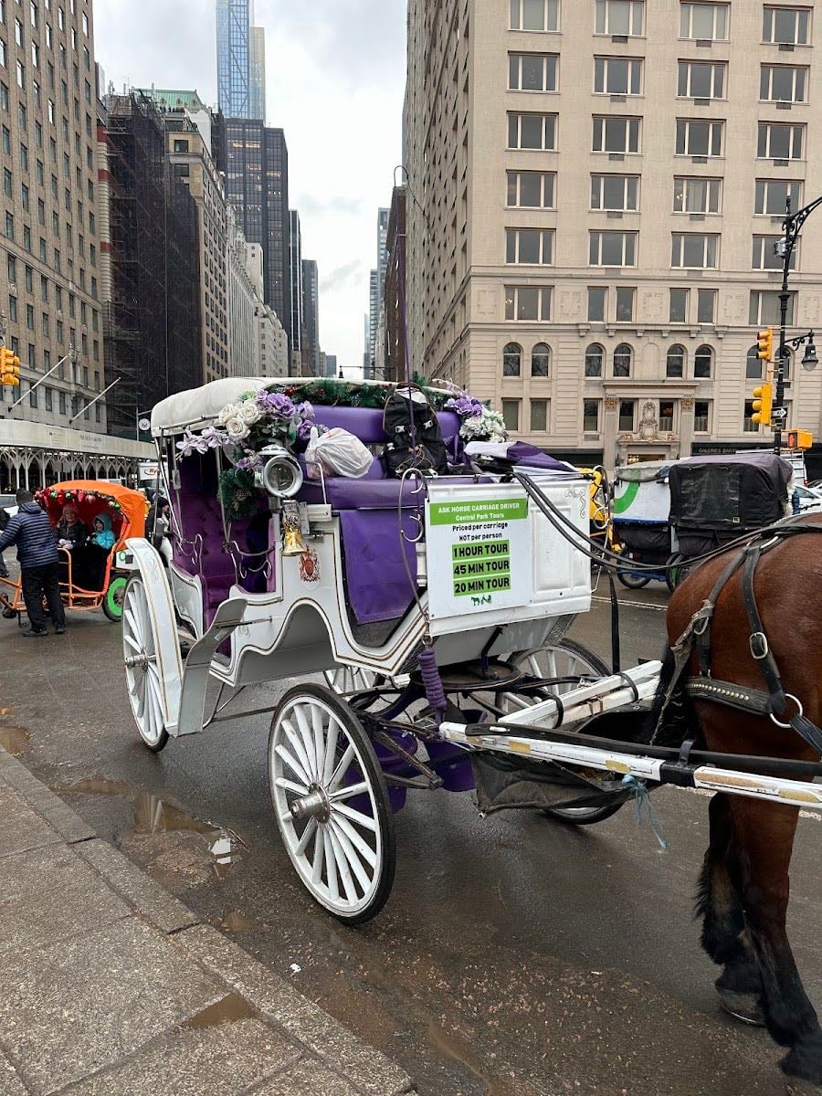Central Park Tours
