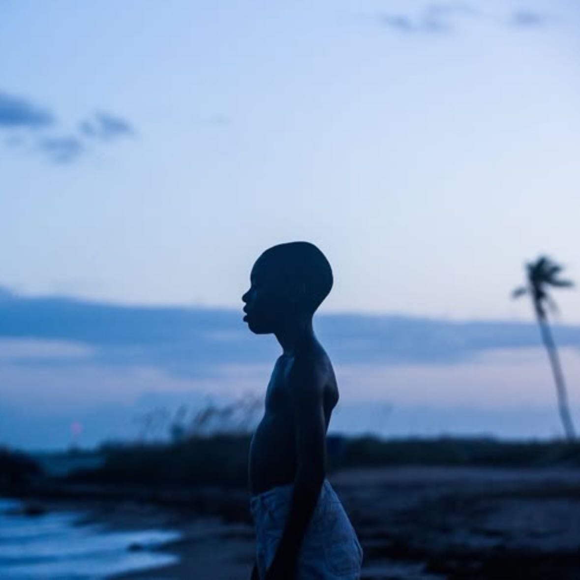 Moonlight - Barry Jenkins · 2016