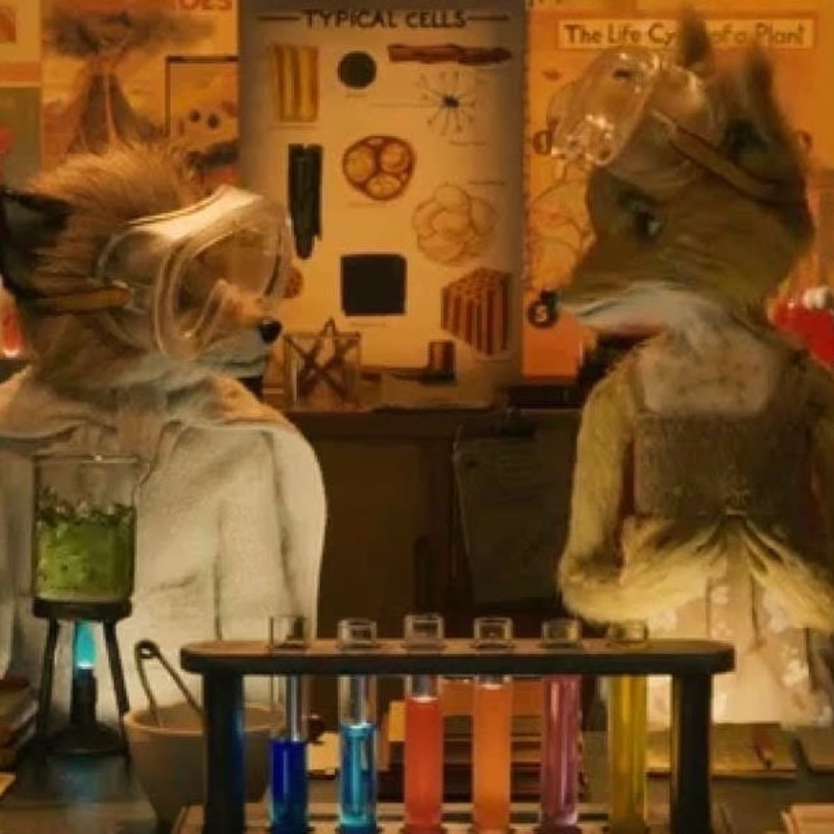 Fantastic Mr. Fox - Wes Anderson · 2009