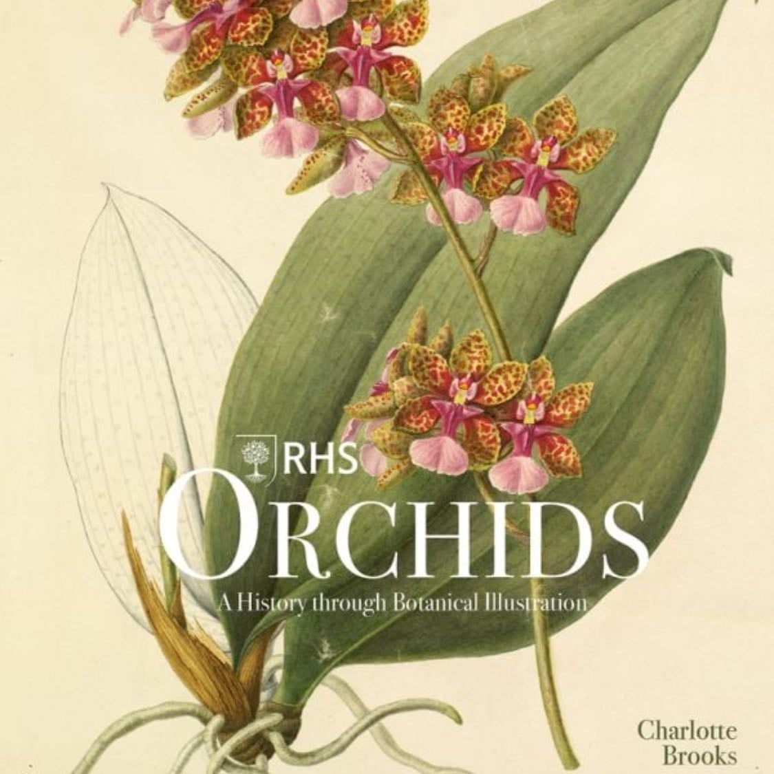 Orchids: A History through Botanical Illustrations - Charlotte Brooks