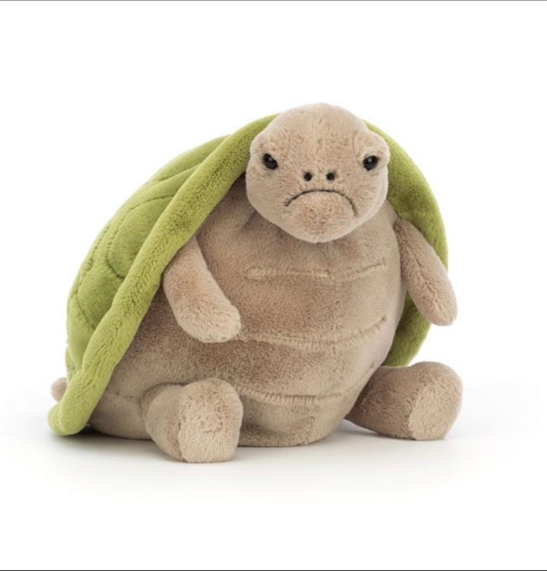 Timmy turtle