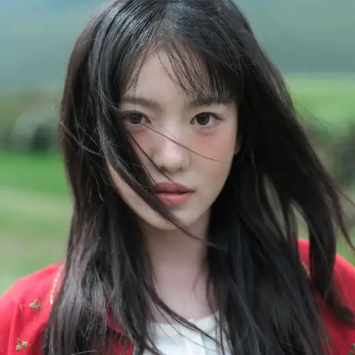 SUI - Artist