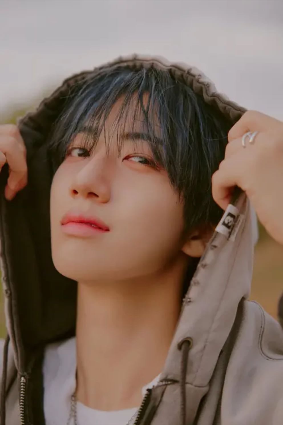 WONJIN - Artist