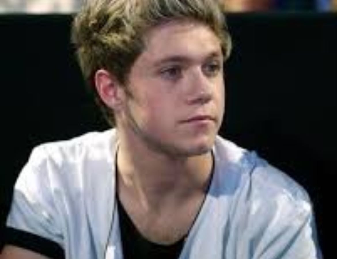 My Fav niall horan eras