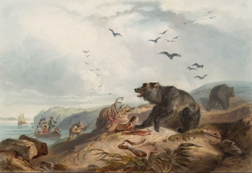 prehistory animals