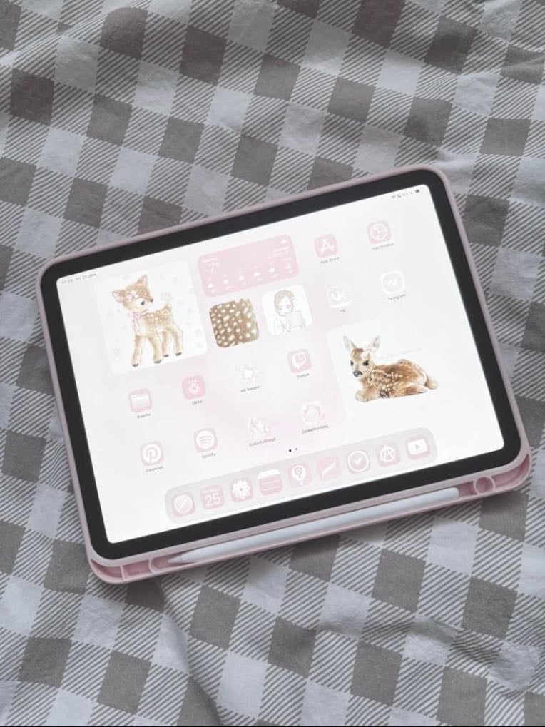 Ipad