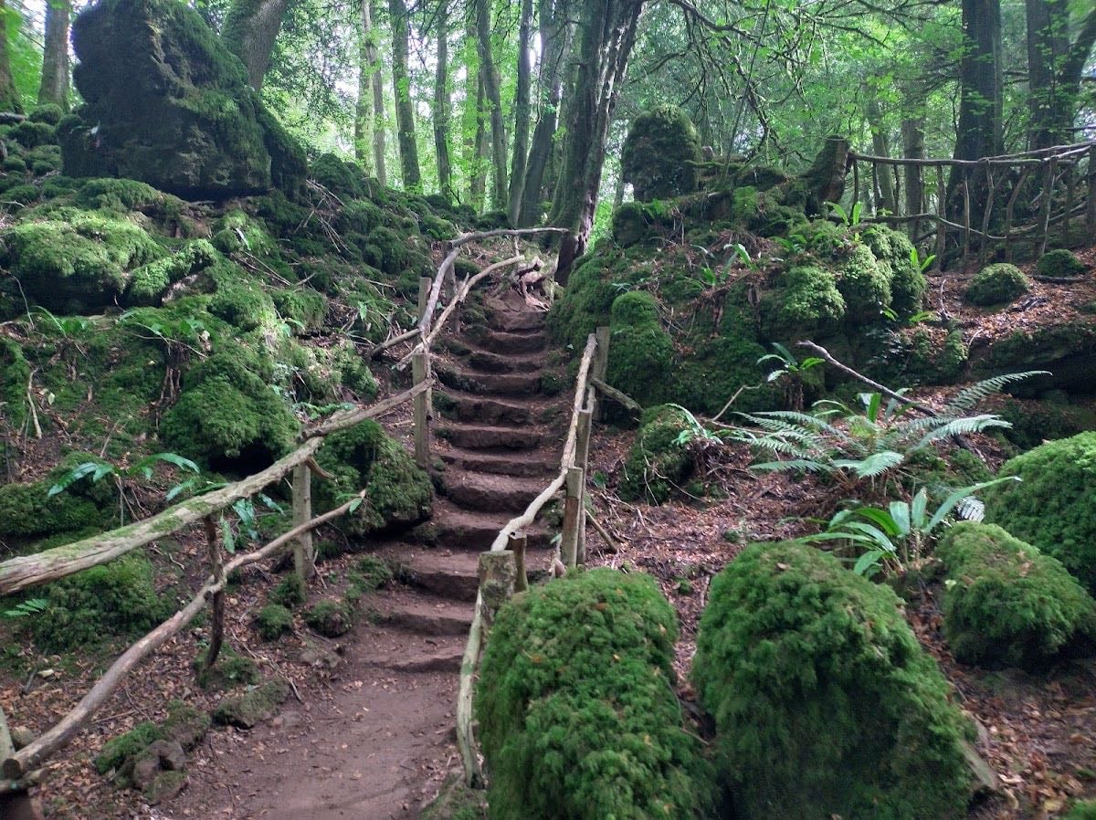 Puzzlewood