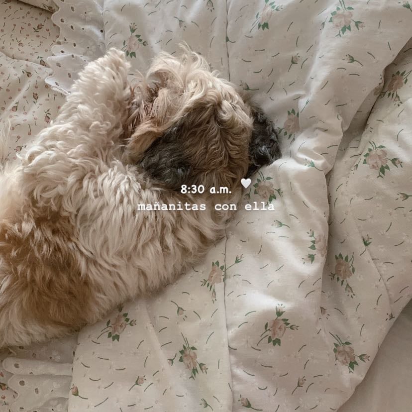 que maca (mi perrita) se acurruque junto a mi