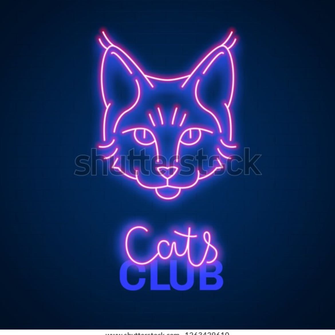 Cats club