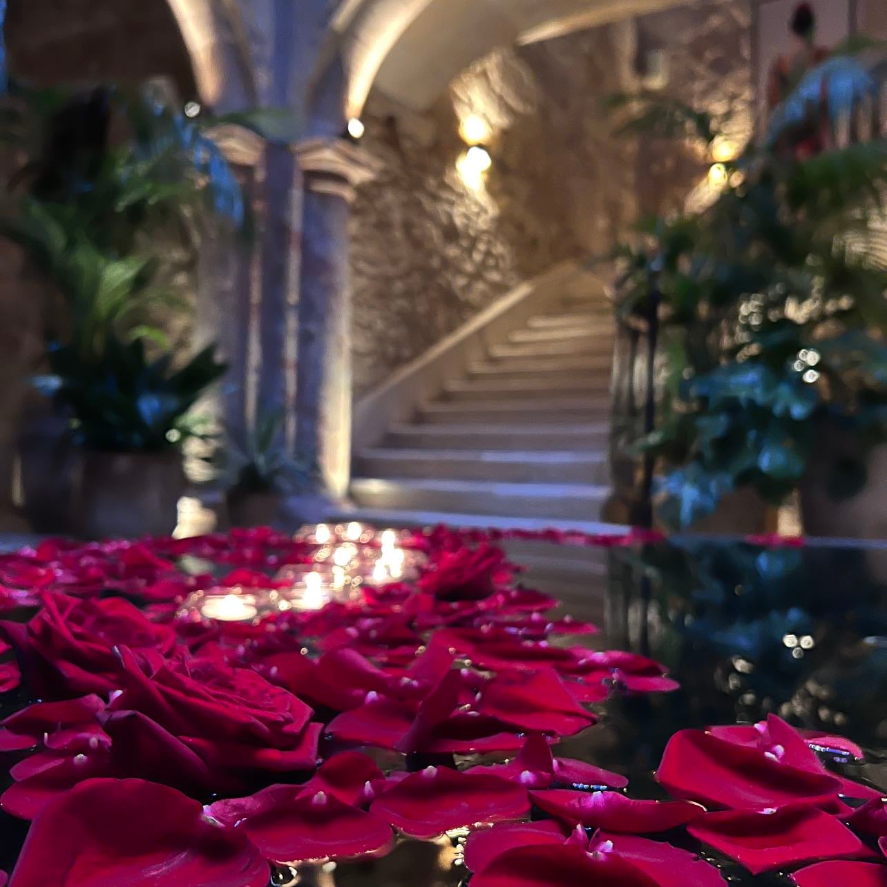 Nobis Hotel Palma