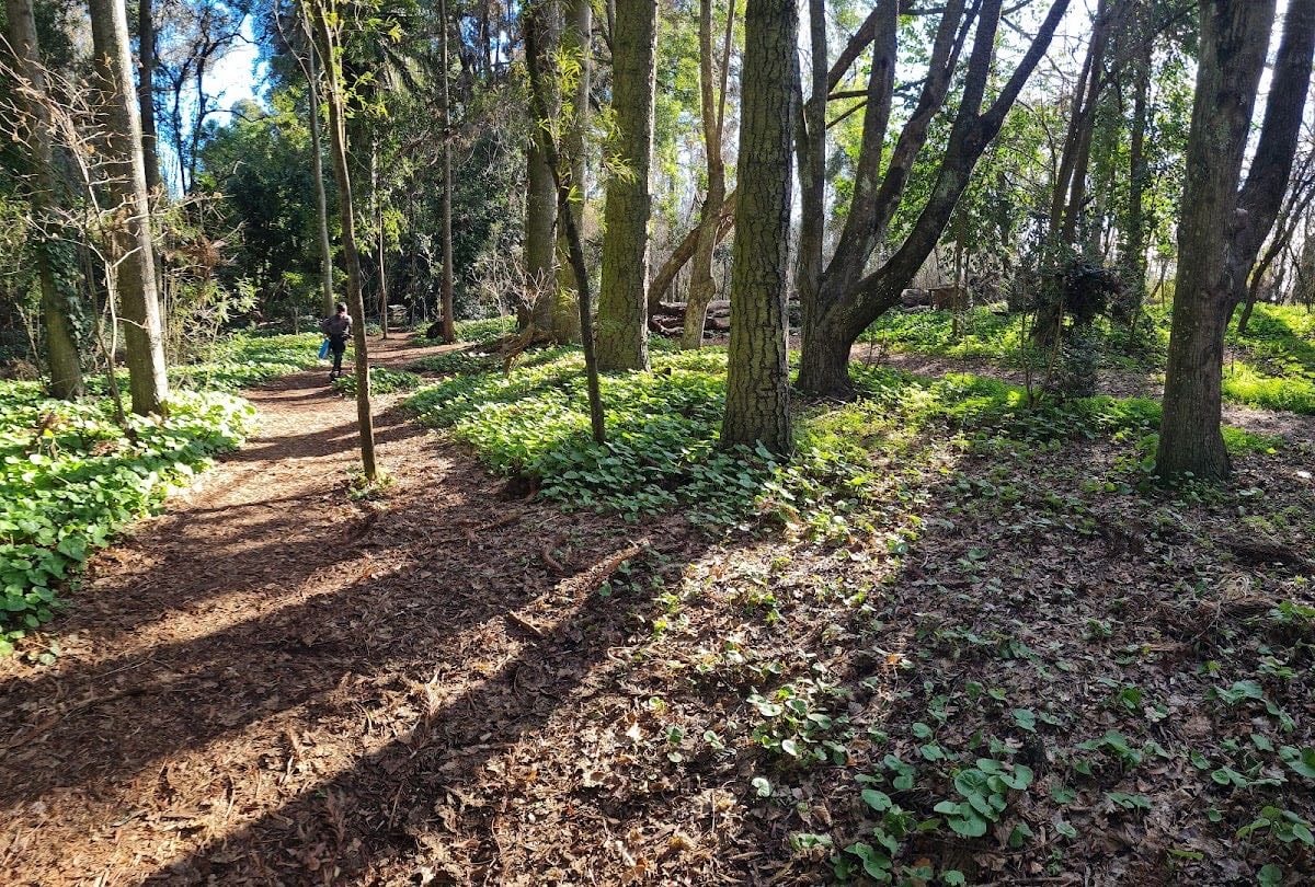 Lantaño Park